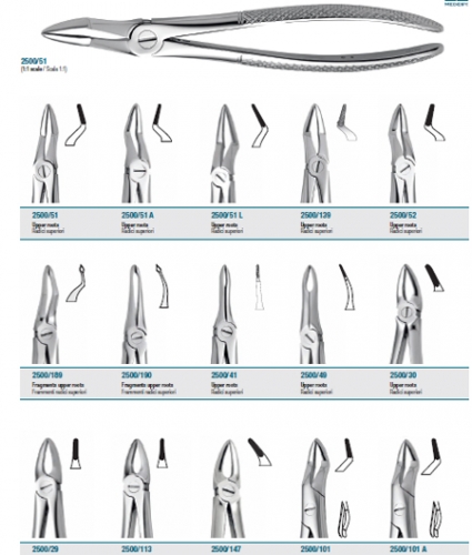 M080-9 Tooth forceps