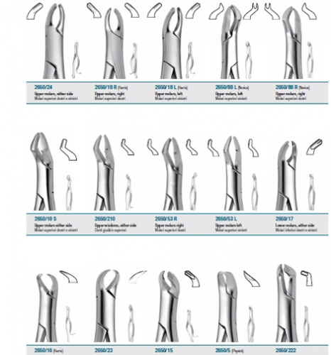 Tooth forceps