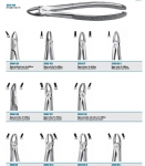 Tooth forceps