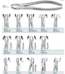 Tooth forceps