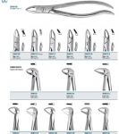 Tooth forceps