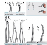 Tooth forceps