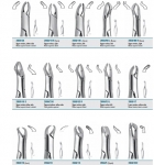 Tooth forceps