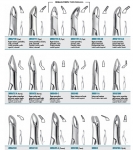 Tooth forceps